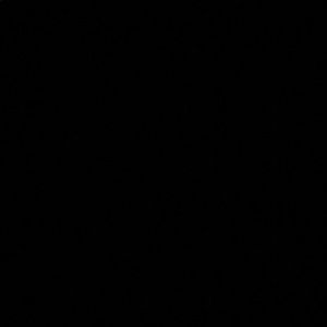 Meet your Posher, Mia